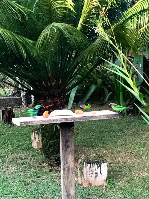 Villa Itamambuca A Beira Mar Com Piscina Ubatuba Exterior foto